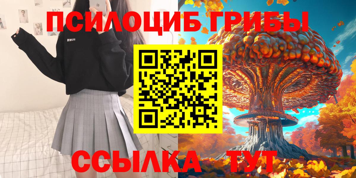 наркошоп  Вход с VPN  Галлюциногенные грибы GOLDEN TEACHER  Кинель  Псилоцибиновые грибы Psilocybe 